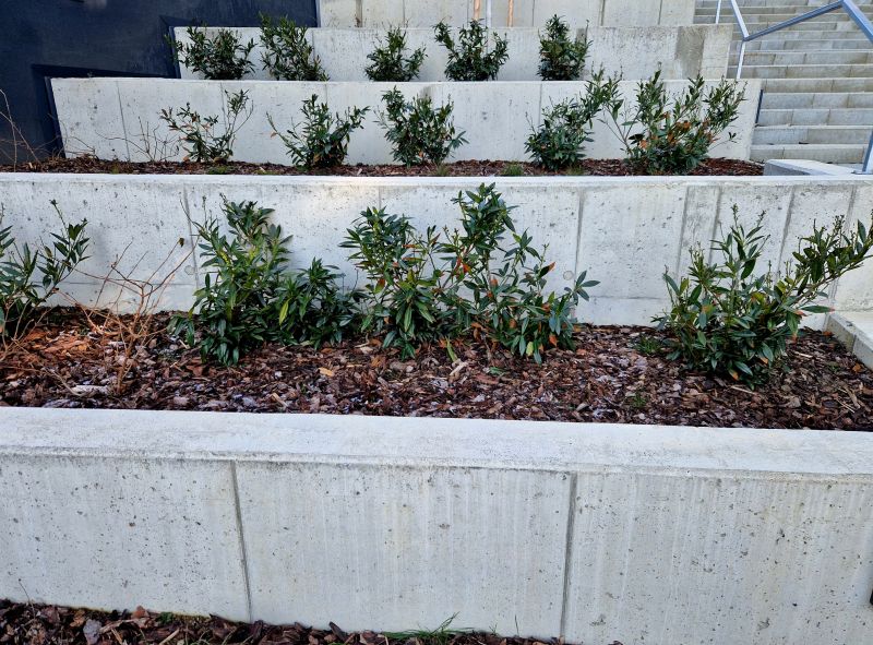 How Decorative Concrete Walls Improve Property Value