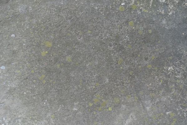 Slab Staining Service in Fishers